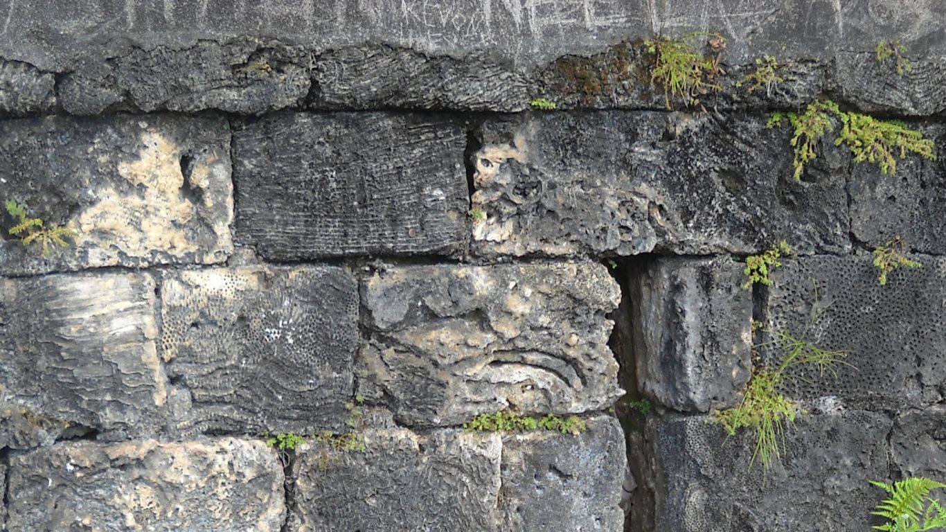 Coral blocks make up Fort James armoury